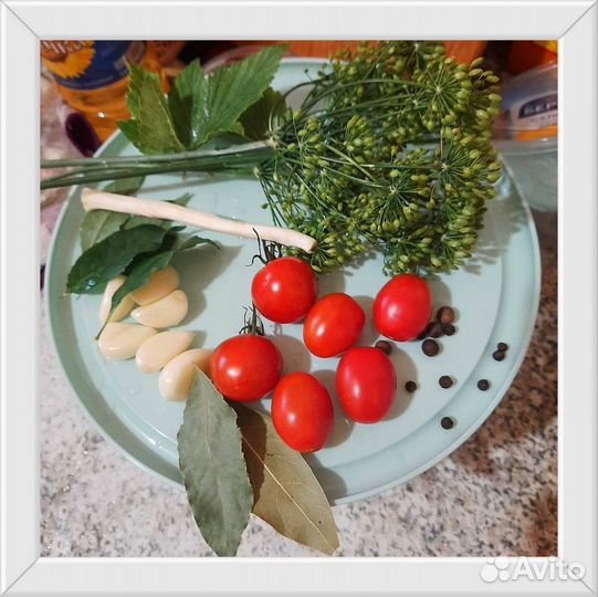 Разносолы домашние Огурцы, помидоры,лечо