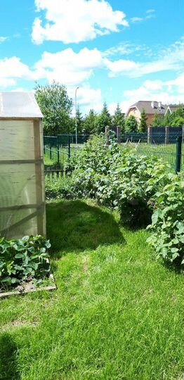 Дом 42,8 м² на участке 1 сот.