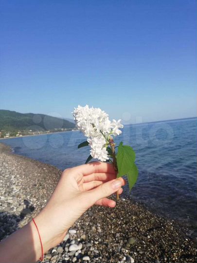 Квартира (Абхазия)