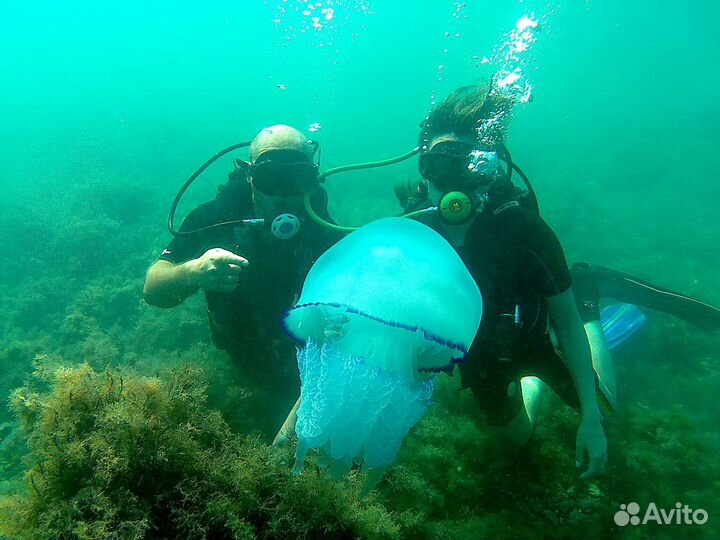 Дайвинг. Погружение с аквалангом. Экскурсии