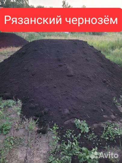 Рязанский чернозем