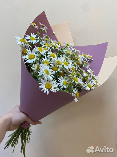 Ромашка ко дню семьи