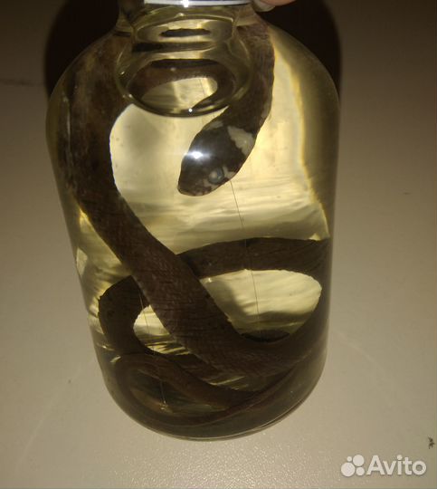 Учебные пособия 