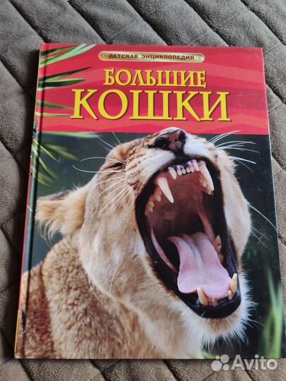 Букварь надежда жукова