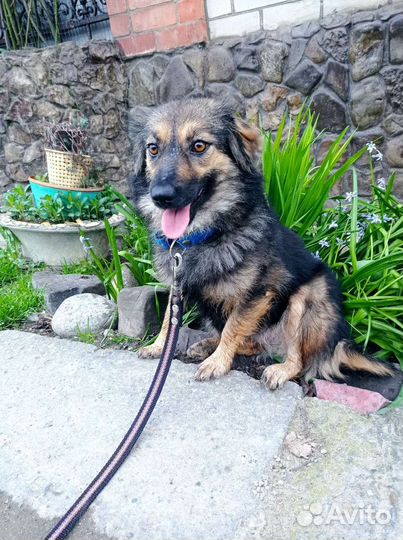 Злата хочет домой