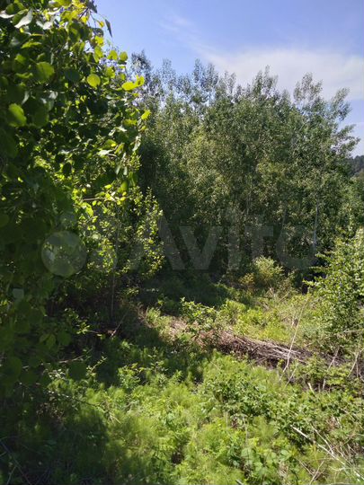 Участок 16 сот. (СНТ, ДНП)