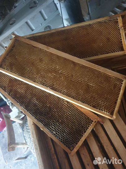 Рамки магазинные ульев