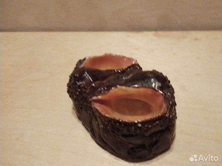 Пепельница из ракушек