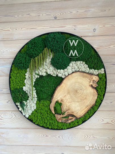 Панели из стабилизированного мха