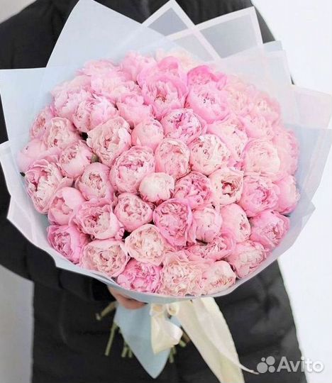 Пионы Букет пионов