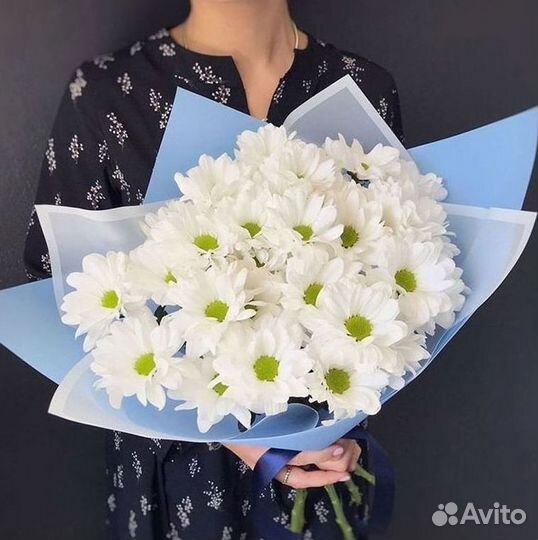 Хризантема Доставка цветов