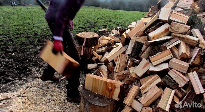 Дрова березовые