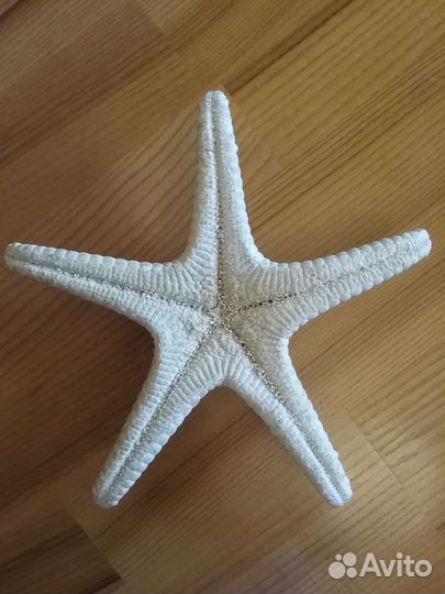 Морская звезда и ракушки