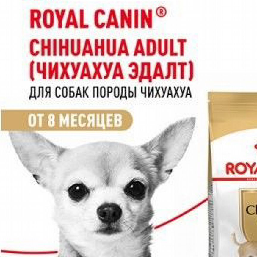 Chihuahua adult PRO 6 кг