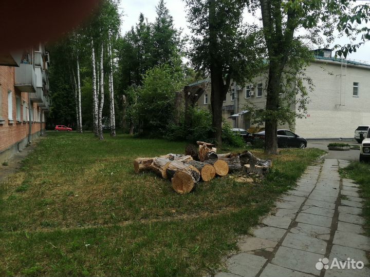 Обрезка кустов и деревьев