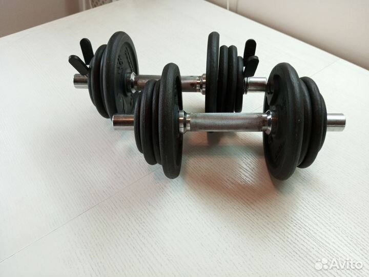 Гантели разборные 42 кг бу