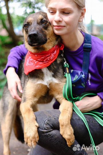 Ласковый мальчик заберите домой