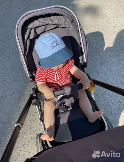 Коляска carello optima 2 в 1