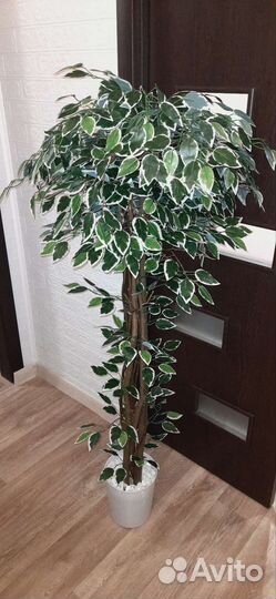 Искусственное дерево, Фикус Бенджамина