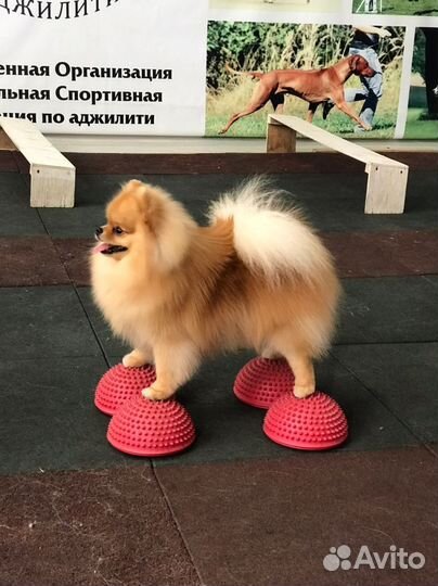 Услуги хендлера