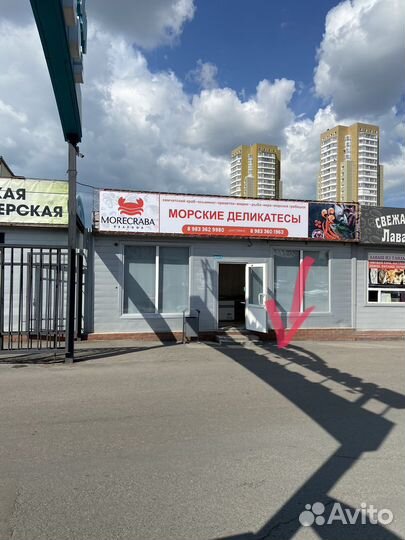 Пикша стекло Мурманск