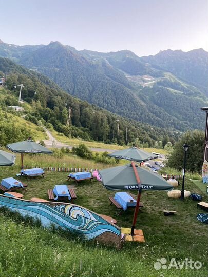 Пуэр,Шен Пуэр,Шу Пуэр,Гречишный чай