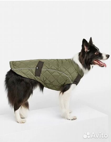 Жилет для собак
