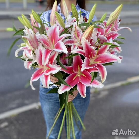 Лилия розовая 3 шт