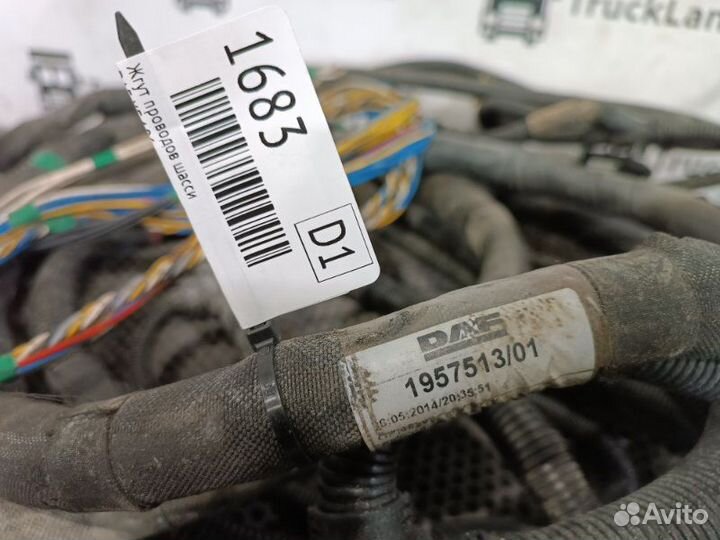 Жгут проводов шасси Daf Xf 106