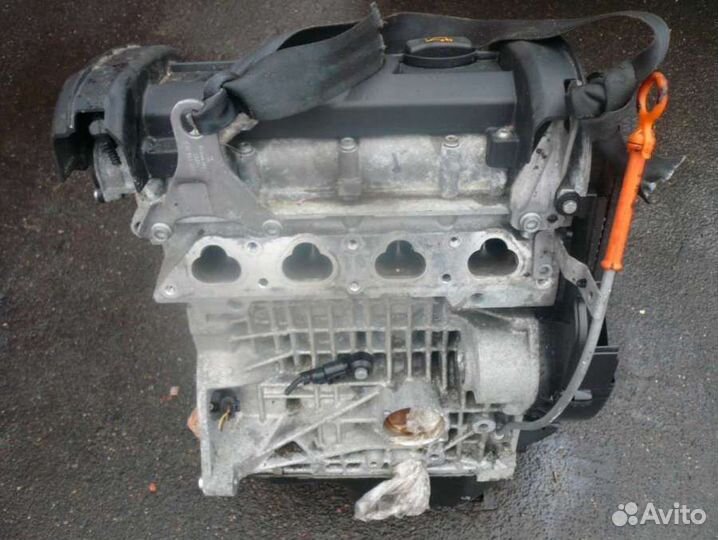 Двигатель Seat Toledo 3 (2004 - 2009) 1.4 BUD