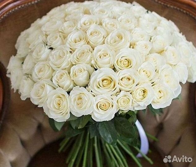 Высокие розы Гигантские розы 110 Доставка цветов