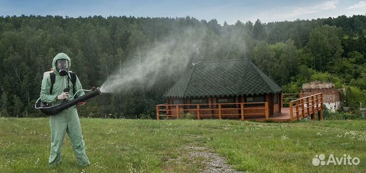 Акарицидная Обработка территории от клещей