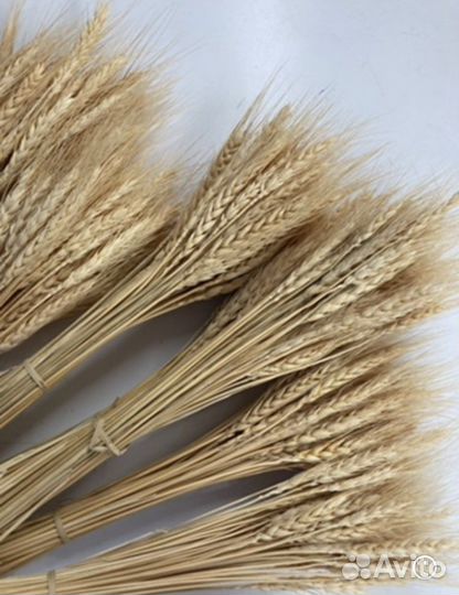 Пшеница натуральная