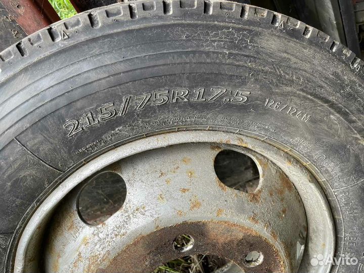 Грузовые шины ведущие 215 75 17,5