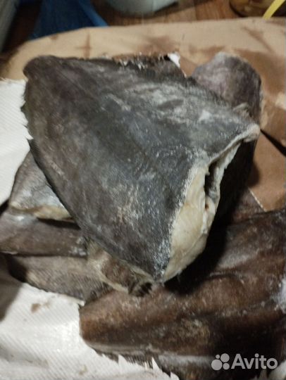 Палтус свежемороженый