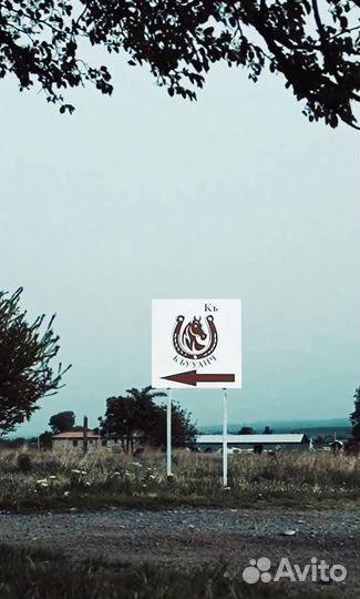 Прокат лошадей