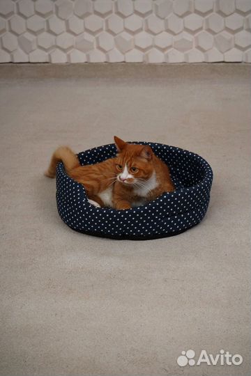 Лежанка для кошки / Когтеточка для кота