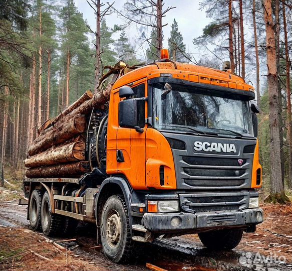 Водитель лесовоза scania