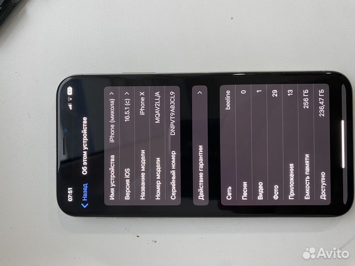 iPhone X, 256 ГБ