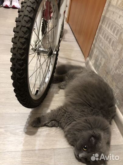 Велосипед подростковый 20 дюймов