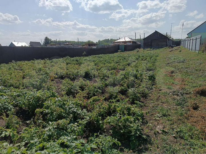 Дом 54 м² на участке 20 сот.