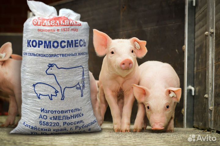 Мельник кормосмесь универсальная