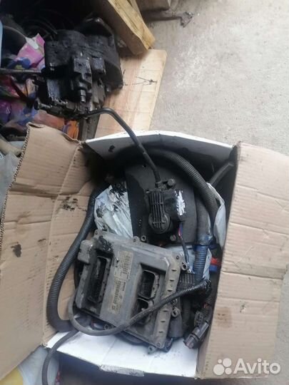 Д 245 тнвд евро3