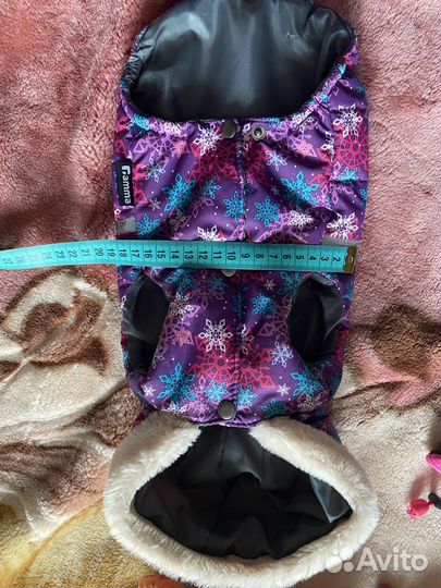 Куртка, комбинезон, сапоги для собаки