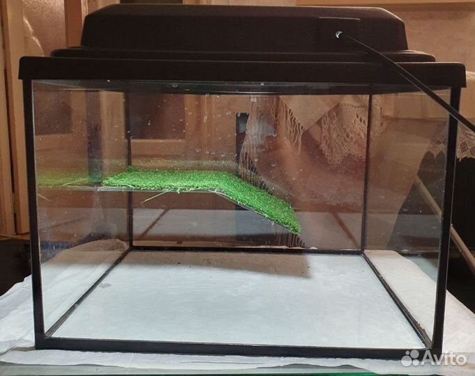 Аквариум террариум