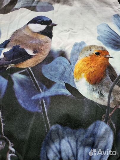 Свитшот molo 140 152 хлопковый