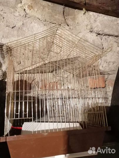 Клетка для попугая бу