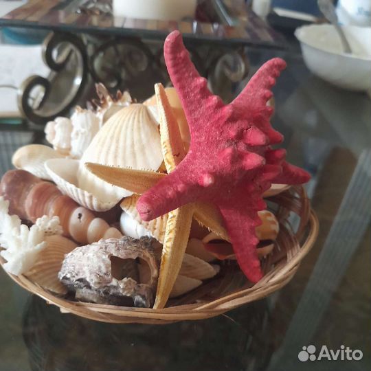 Подарочный набор ракушек