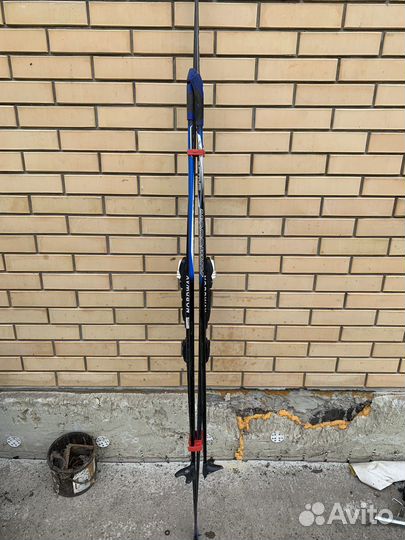 Беговые лыжи