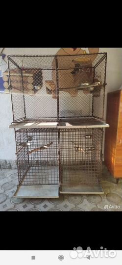 Клетки для птиц, голубей